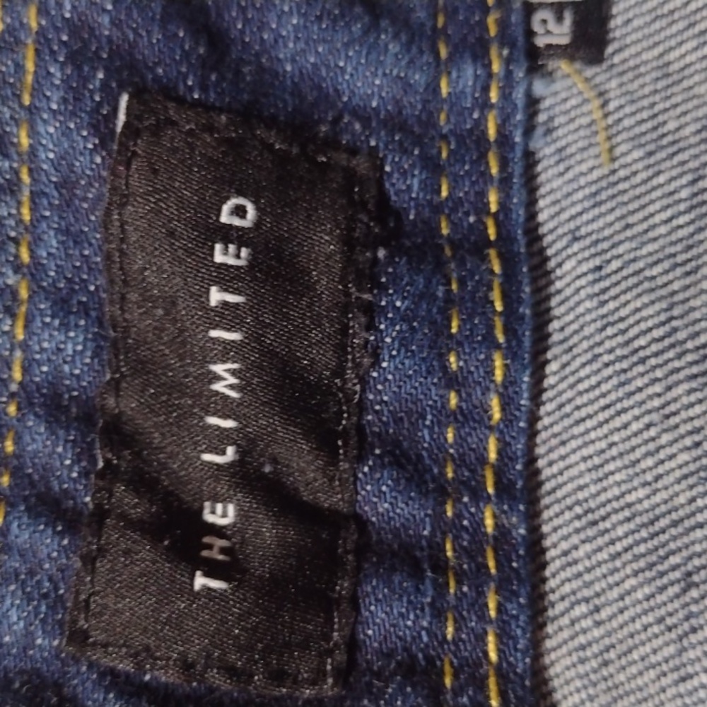 The Limited Dark Denim Skirt - Picture 6 of 7